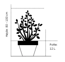 Osmome Butik -Osmome Butik 374 potte 12 liter 80 100 cm 2f85