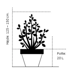 Osmome Butik -Osmome Butik 409 potte 20 liter 125 150 cm ac9f