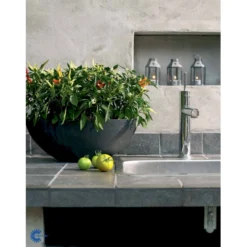 Chilipeber 'Lombardo' Capsicum Annuum 'Lombardo' Pose Med Frø Eller Løg, 5 10 Chilipeber 'Lombardo' Capsicum Annuum 'Lombardo' Pose Med Frø Eller Løg, 5 -Osmome Butik fi918 capsicum annuum 24f5