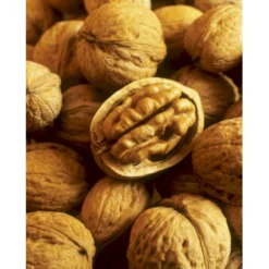 Almindelig Valnød Juglans Regia Heister 200-250 Cm. Med Potte 12 Almindelig Valnød Juglans Regia Heister 200-250 Cm. Med Potte -Osmome Butik p1165 8160 juglans regia 734d