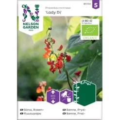 Pralbønne 'Lady Di' Øko Phaseolus Coccineus 'Lady Di' Frøpose, Antal Pr. Pakke, Ca. 10 Stk.