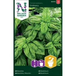 Basilikum 'Ordinary' Ocimum Basilicum L. 'Ordinary'