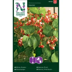 Pralbønne 'Hestia' Phaseolus Coccineus 'Hestia'