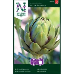 Artiskok 'Vert De Provence' Cynara Cardunculus 'Vert De Provence'