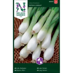 Forårsløg 'White Lisabon' Allium Cepa 'White Lisbon'