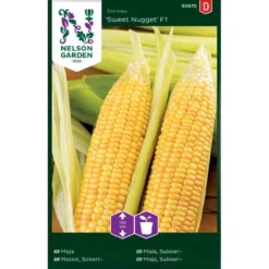 Sukkermajs 'Sweet Nugget' F1 Zea Mays 'Sweet Nugget' F1