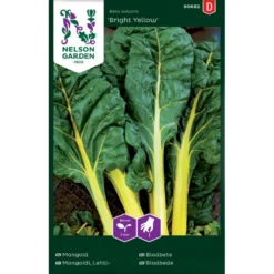 Bladbede 'Bright Yellow' F1 Beta Vulgaris 'Bright Yellow' F1
