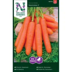 Sommergulerod 'Nantaise 2' Big Pack Daucus Carota L 'Nantaise 2'