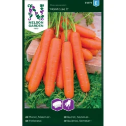 Sommergulerod 'Nantaise 2' Såbånd Daucus Carota L 'Nantaise 2'