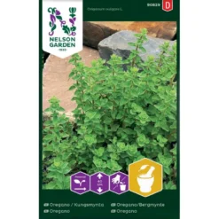 Vild Merian Origanum Vulgare L.