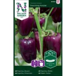 Sød Peber 'Snacking Purple' Capsicum Annuum 'Snacking Purple'