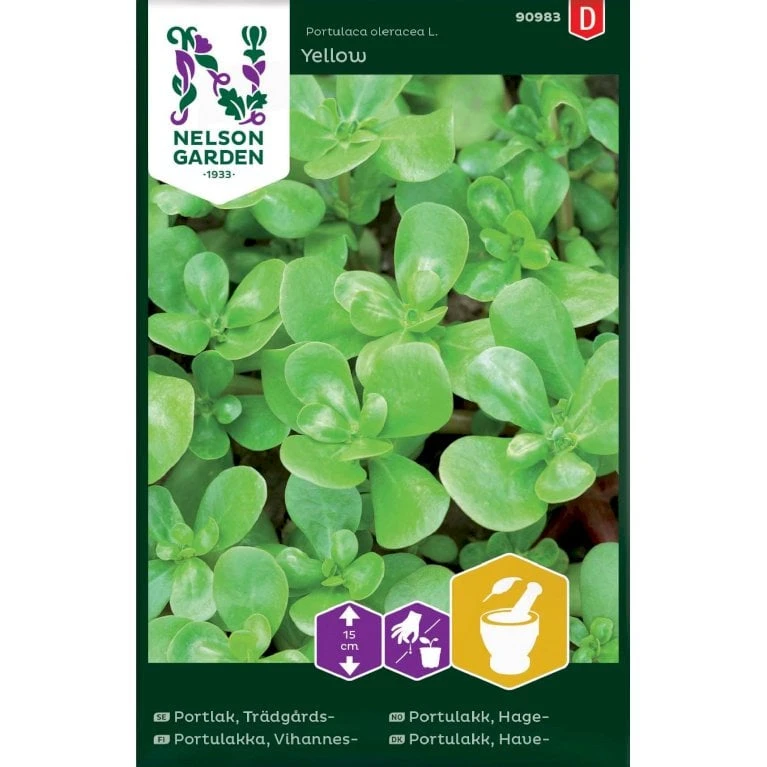 Portulak 'Yellow' Portulaca Oleracea L. 'Yellow' 1 Portulak 'Yellow' Portulaca Oleracea L. 'Yellow'