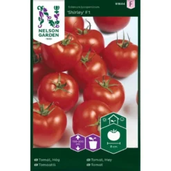 Tomat 'Shirley' F1 Solanum Lycopersicum 'Shirley' F1