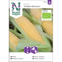 Sukkermajs 'Golden Bantam' Øko Zea Mays 'Golden Bantam' Frøpose, Antal Pr. Pakke, Ca. 10 Stk.