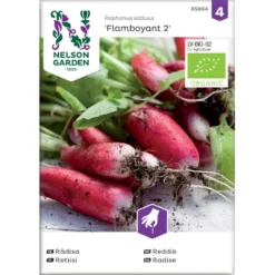 Radise 'Flamboyant 2' Øko Raphanus Sativus 'Flamboyant 2' Frøpose, Antal Pr. Pakke, Ca. 130 Stk.