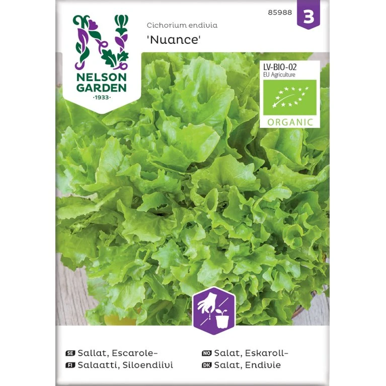Salat 'Nuance' Øko Cichorium Endivia 'Nuance' Frøpose, Antal Pr. Pakke, Ca. 70 Stk. 1 Salat 'Nuance' Øko Cichorium Endivia 'Nuance' Frøpose, Antal Pr. Pakke, Ca. 70 Stk.