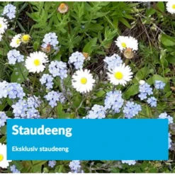 Eksklusiv Staude Eng Staude Eng 1 Kg. Pose