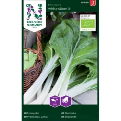 Bladbede 'White Silver 3' Øko Beta Vulgaris 'White Silver 3'