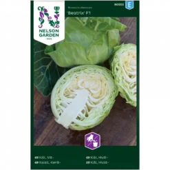 Hvidkål 'Beatrix' F1 Brassica Oleracea 'Beatrix' F1