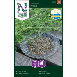 Grønlinse 'Anicia' Lens Culinaris 'Anicia'