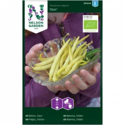 Voksbønne 'Dior' Øko Phaseolus Vulgaris 'Dior'