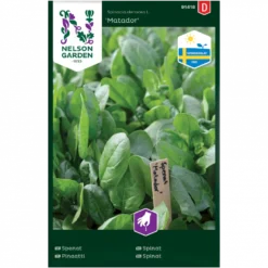 Spinat 'Matador' Spinacia Oleracea L. 'Matador'