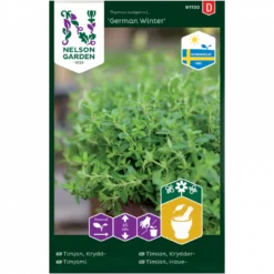Timian 'German Winter' Thymus Vulgaris L. 'German Winter'