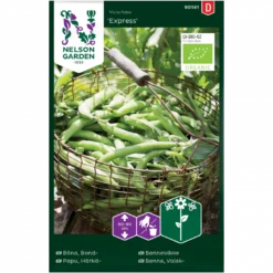 Valskbønne 'Express' Øko Vicia Faba 'Express'