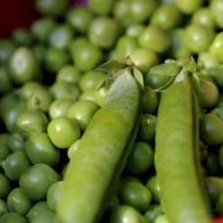 Lav Marvært 'Kelvedon Wonder' Øko Pisum Sativum 'Kelvedon Wonder' Frøpose, Antal Pr. Pakke, Ca. 50 Stk. -Osmome Butik p36915 54684 pisum sativum kelvedon wonder 1d44