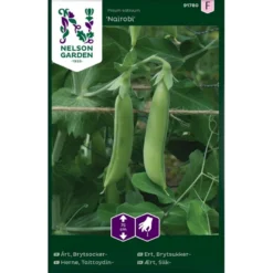 Slikært 'Nairobi' Pisum Sativum 'Nairobi'