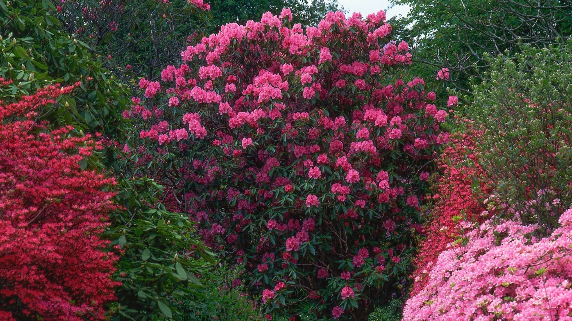 Osmome Butik -Osmome Butik 248 Billeder i mails og artikler 1920 × 1080px 5