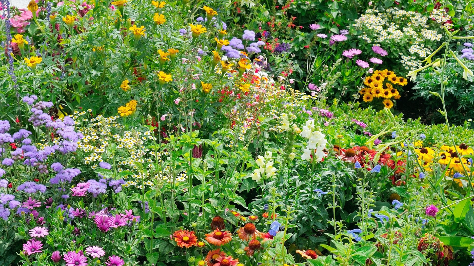 Osmome Butik -Osmome Butik 888 Billeder i mails og artikler 1920 × 1080px 2023 04 14T141906.205